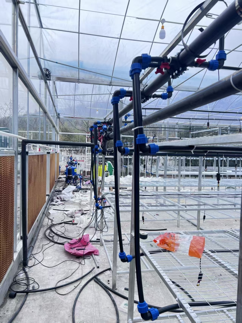 15d99a589495b51043f1a0b4da97fe4d